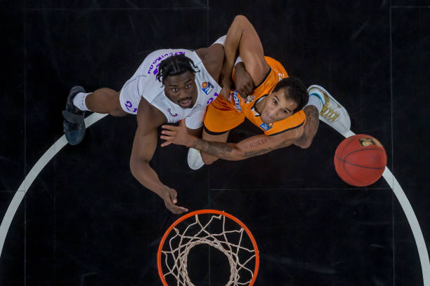 了丹麦羽毛 了丹麦羽毛